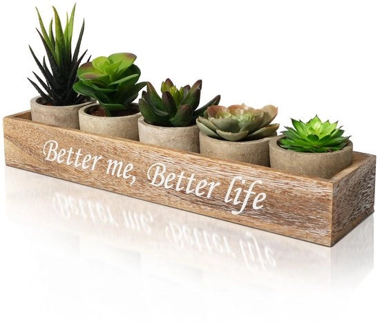 5 piante artificiali in scatola di legno | Piccole piante artificiali come sono realmente per la decorazione della camera da letto, bagno e soggiorno | Piccola pianta artificiale con vaso | Decorazione per la camera, decorazione per ufficio