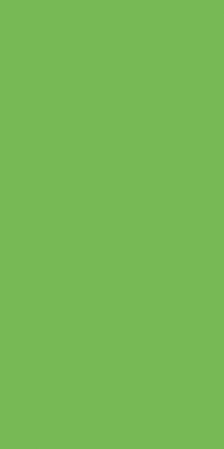 PLASTICA ADESIVA VERDE PISELLO LUCIDO DC FIX MINI 45X200 CM