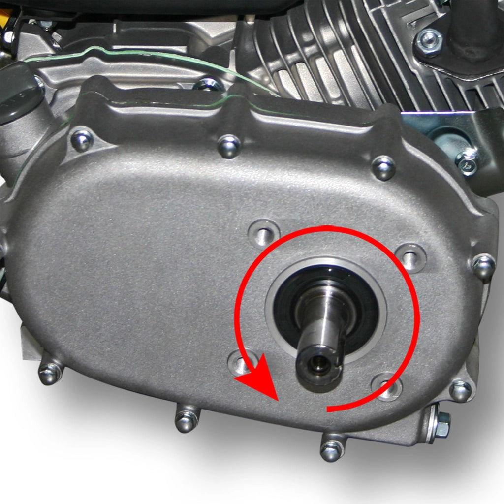 LIFAN 168 Motore a benzina 4,8 kW 6,5 CV 196 ccm con frizione a bagno d'olio e riduzione 2:1 kart