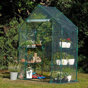 Serra / Serra per Interno e Esterno - Giardino, Coltivazione, Serra per Bicchiere per Interno e Esterno