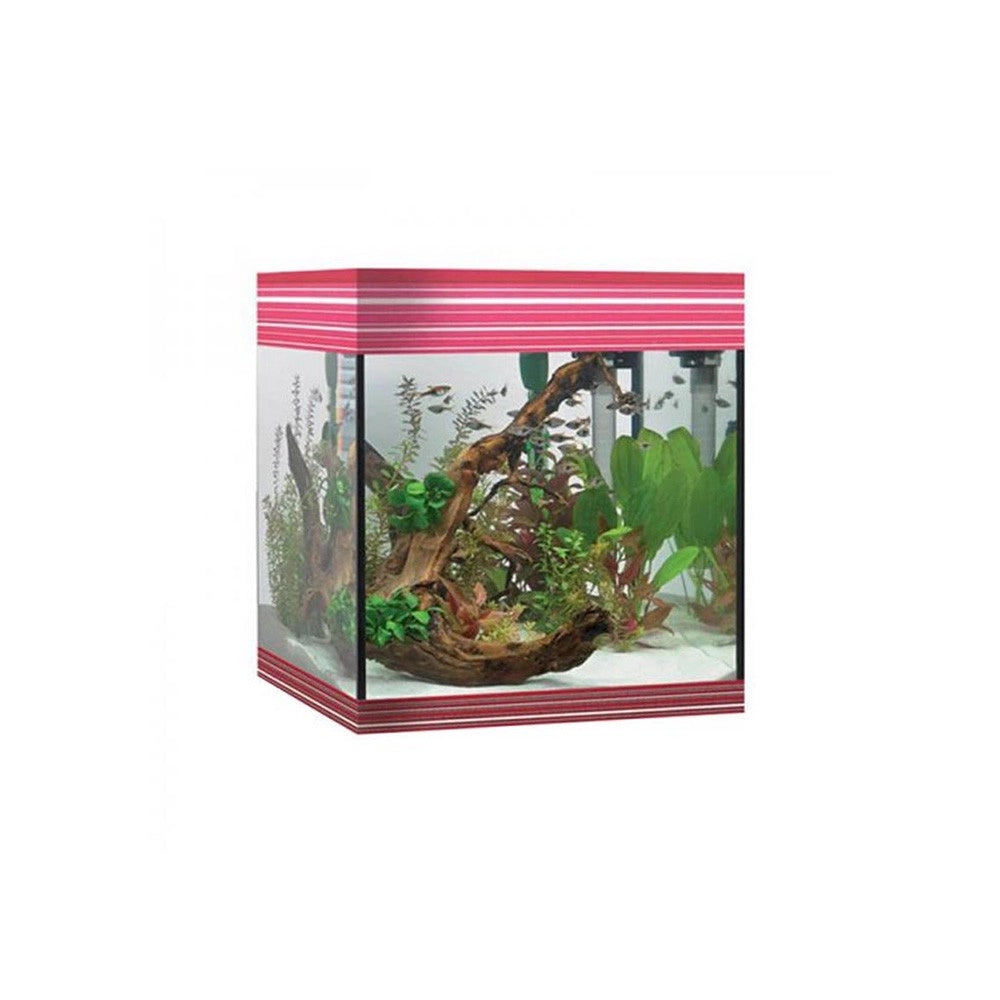Askoll Pure kit M LED - kit acquario cm 36x36x43,5h 44litri con illuminazione LED e sistema di filtraggio Colore: Nero