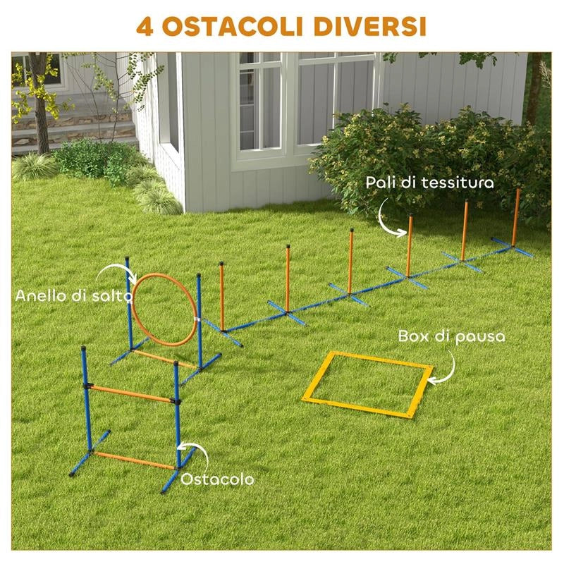 SET AGILITY DOG CON ANELLO E BARRA PER SALTO, PALETTI SLALOM, FISCHIETTO, PALLINE E BORSA, ARANCIONE