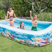 58485NP - Piscina Family Pesci Cm 305X183X56