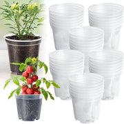 Set di vaso per piante Allettamento Plus - 30 vasi - vaso per piante in plastica 102 cm - vaso per erbe in plastica - fori di drenaggio - vasi per semi rotondi - vasi per piante trasparenti per giardinaggio