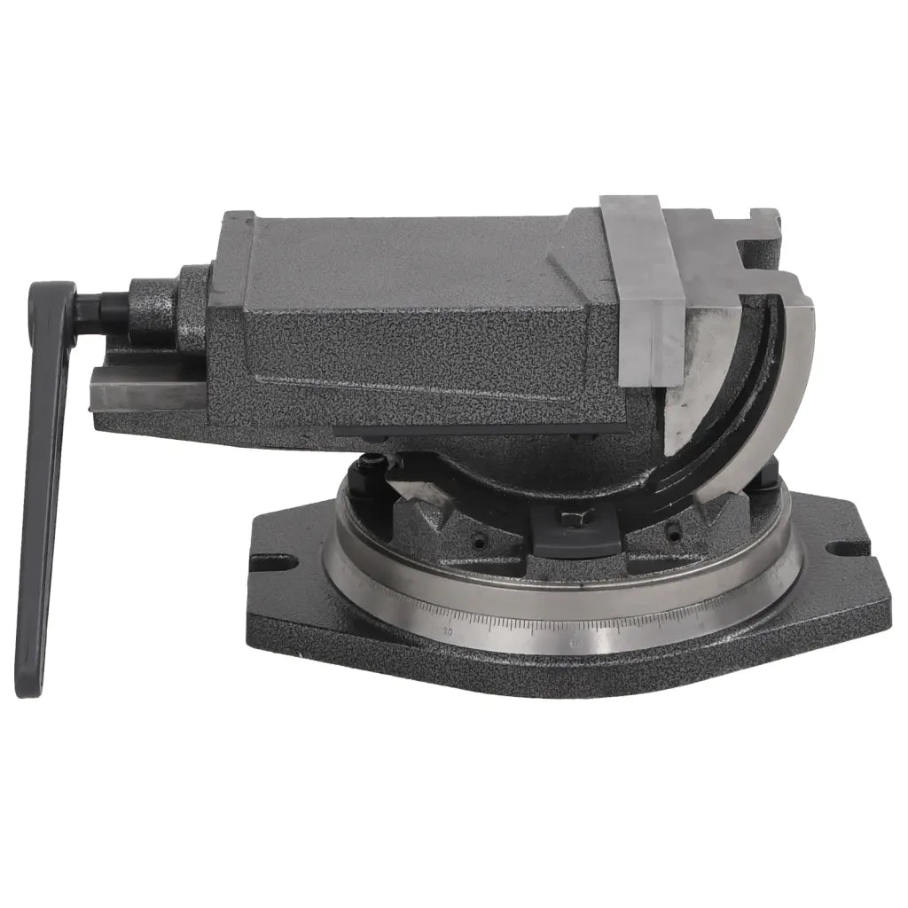 Morsa Inclinabile a 2 Assi 160 mm CFW9891398