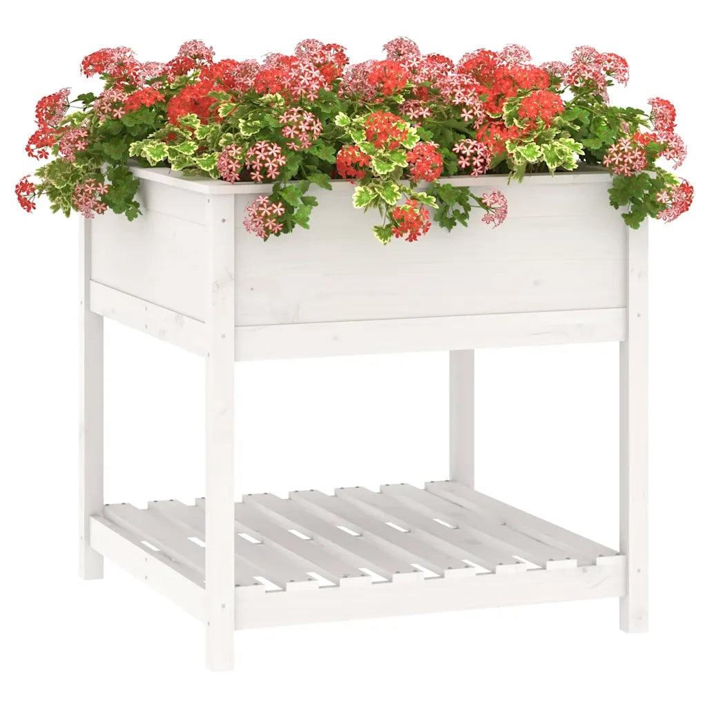 Fioriera con Mensola Bianca 82,5x82,5x81 cm Legno Massello Pino 823795