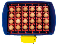 Incubatrice per Uova Automatica Professionale Borotto Real 24