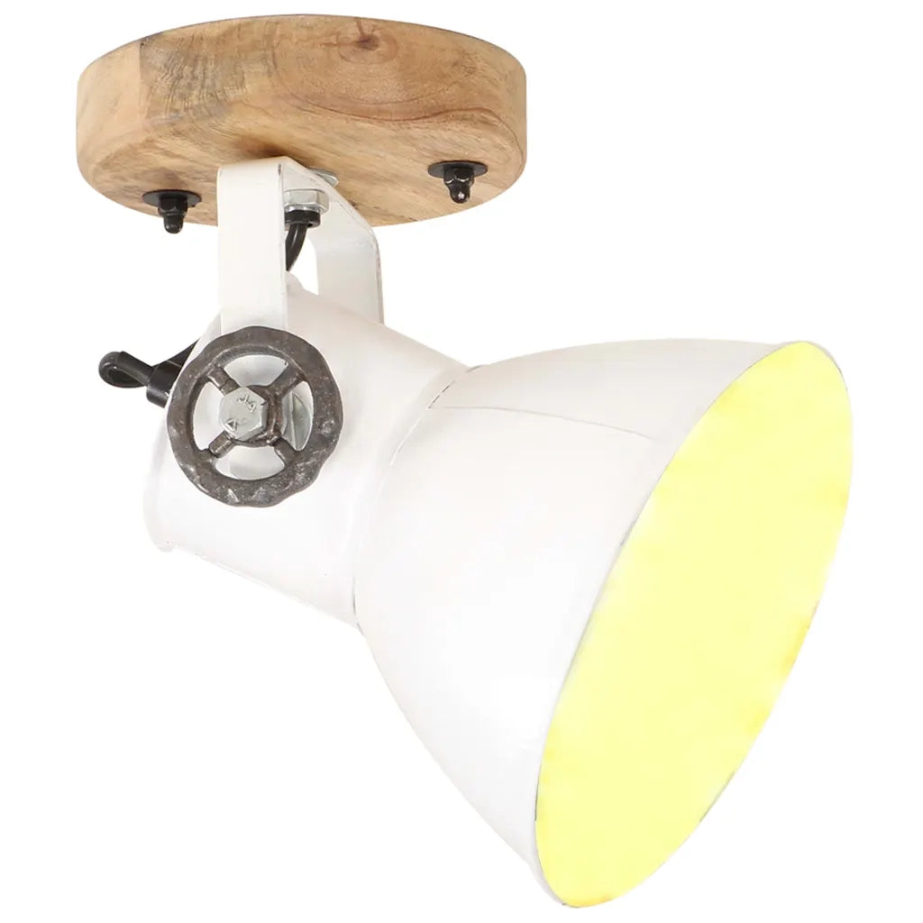 Lampade da Parete/Soffitto 2 pz Industriale Bianca 20x25 cm E27 CFW8867364