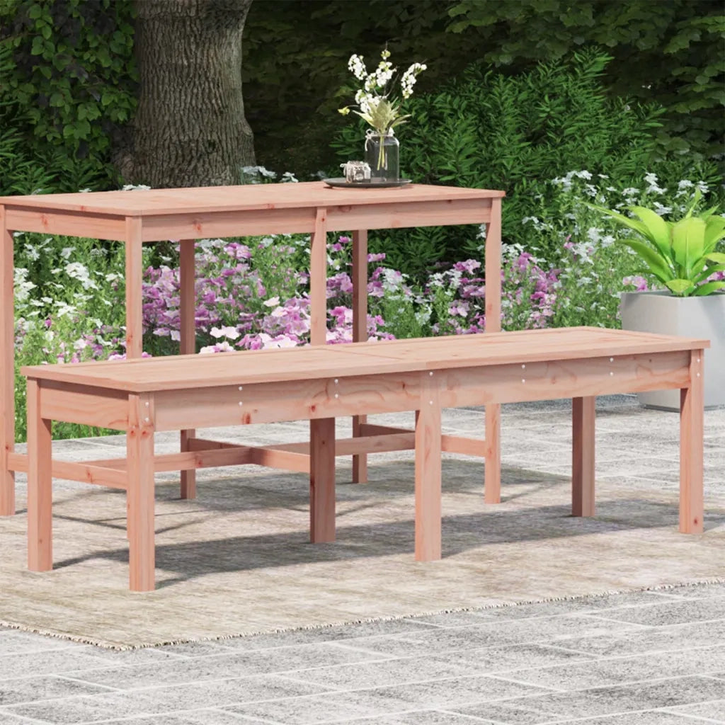 Panca da Giardino 2 Posti 159,5x44x45 cm Legno Massello Douglas 824016