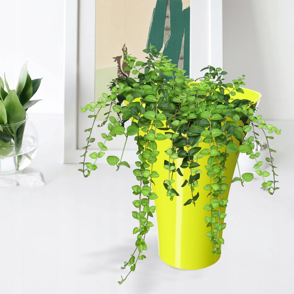 Vaso da fiori KADAX, vaso da fiori, copripianta, supporto per fiori, plastica, giallo, 16,5 cm