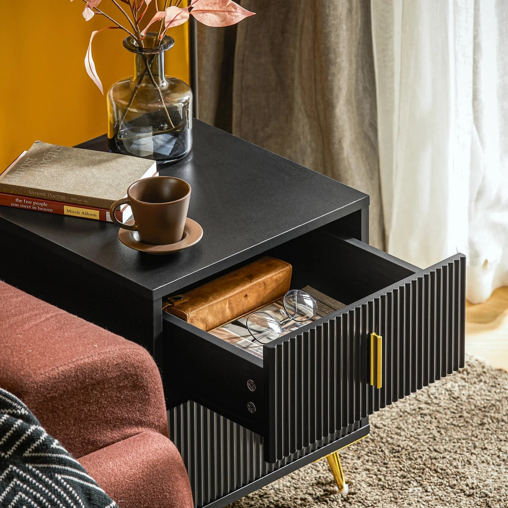 SoBuy Set di 2 Comodino Camera da Letto - Comodino con 2 Cassetti, Tavolino Salotto - Moderna Cassettiera L40 x P40 x A47 cm Nero FBT115-SCHx2
