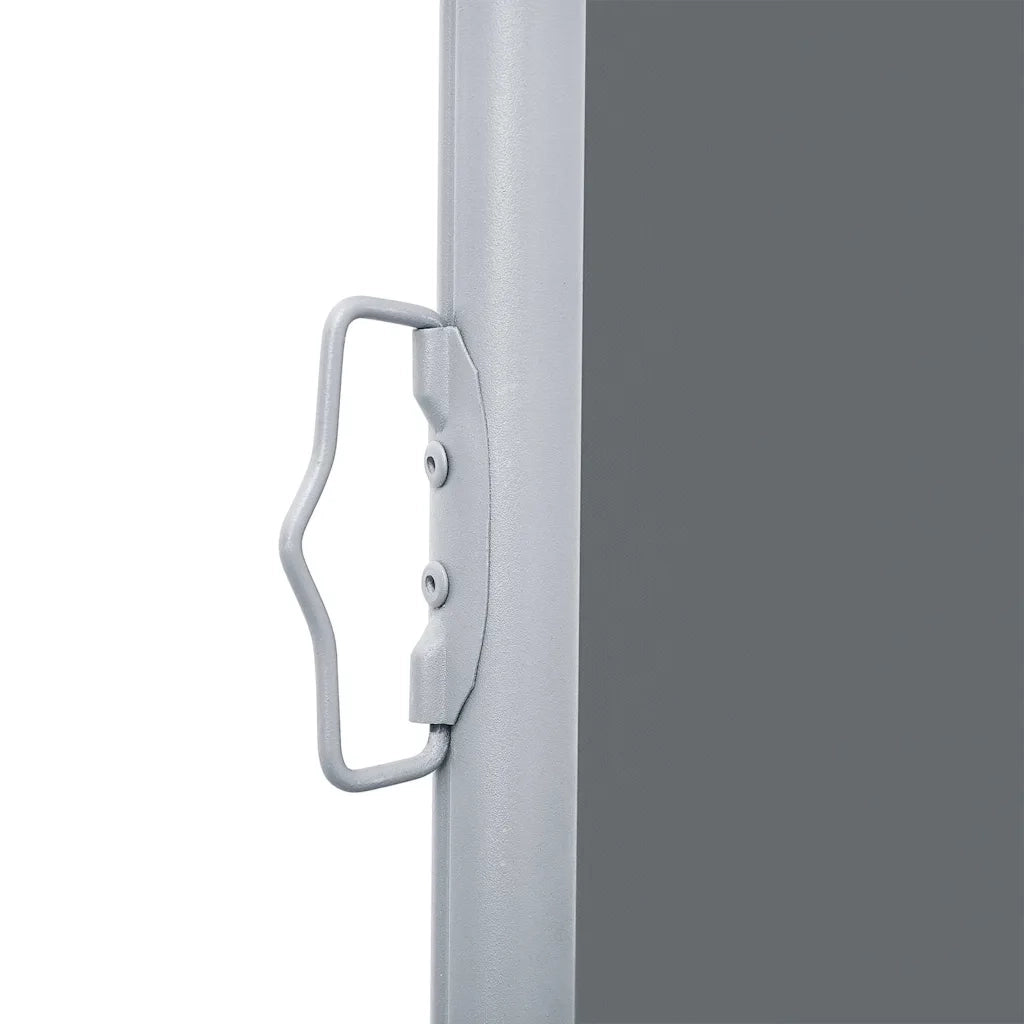 Tenda da Sole Laterale Retrattile Antracite 100x1000 cm 48474