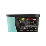 HOME COLOR SUPERLAVABILE LT.2,5 ELBA- 1,0 pz