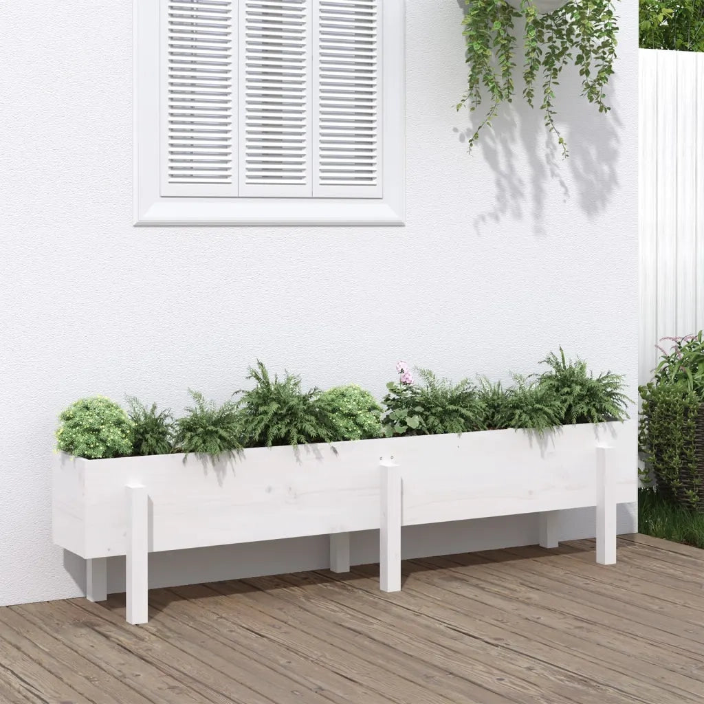 Fioriera | Cassetta per fiori | Vaso Rialzata da Giardino Bianca 160x30x38 cm Massello Pino