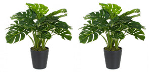 Set 2 Piante Artificiali di Filodendro 60x60x65 cm in Plastica con Vasi Verde