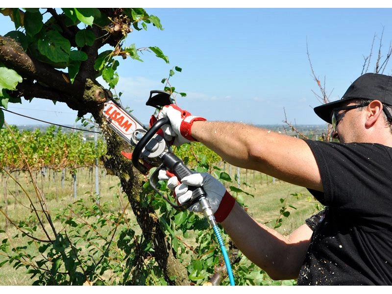 Seghetto pneumatico Lisam Sky-Man per potatura con barra a punta con impugnatura