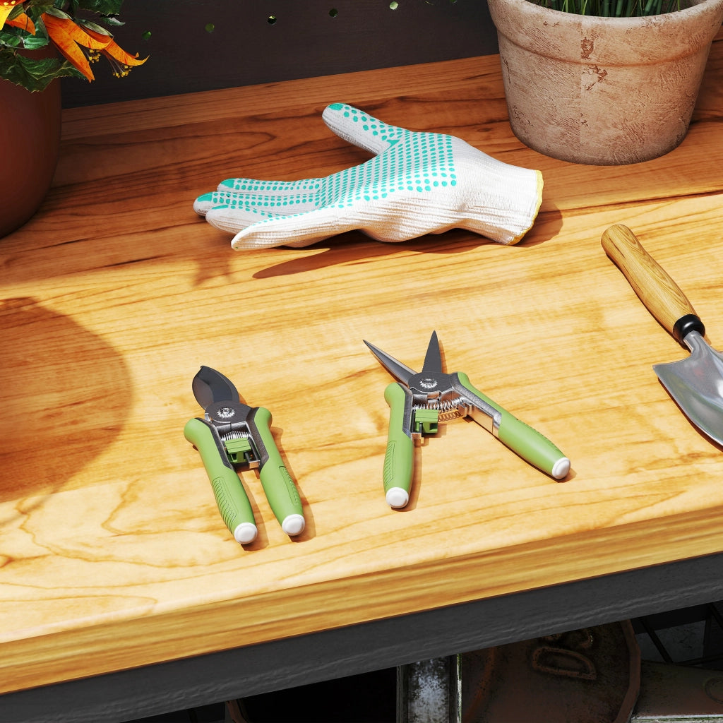 Set da Giardino 2 Pezzi ¨C Zephmum ¨C Verde e Argento Acciaio Inox