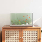Acquario con archiviazione Trasparente 50 x 30 x 30 cm Vetro 42020382