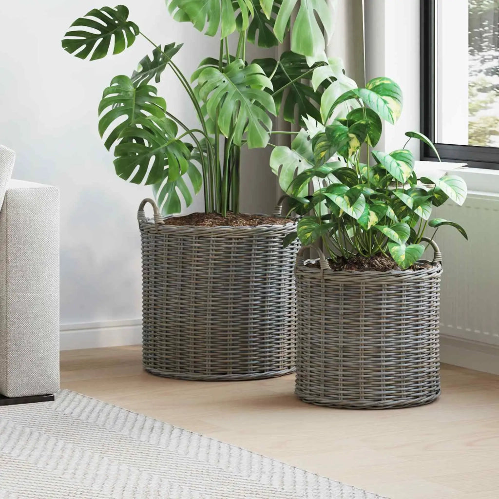 Cestino per piante con archiviazione 2 pcs Grigio Rattan Lacak