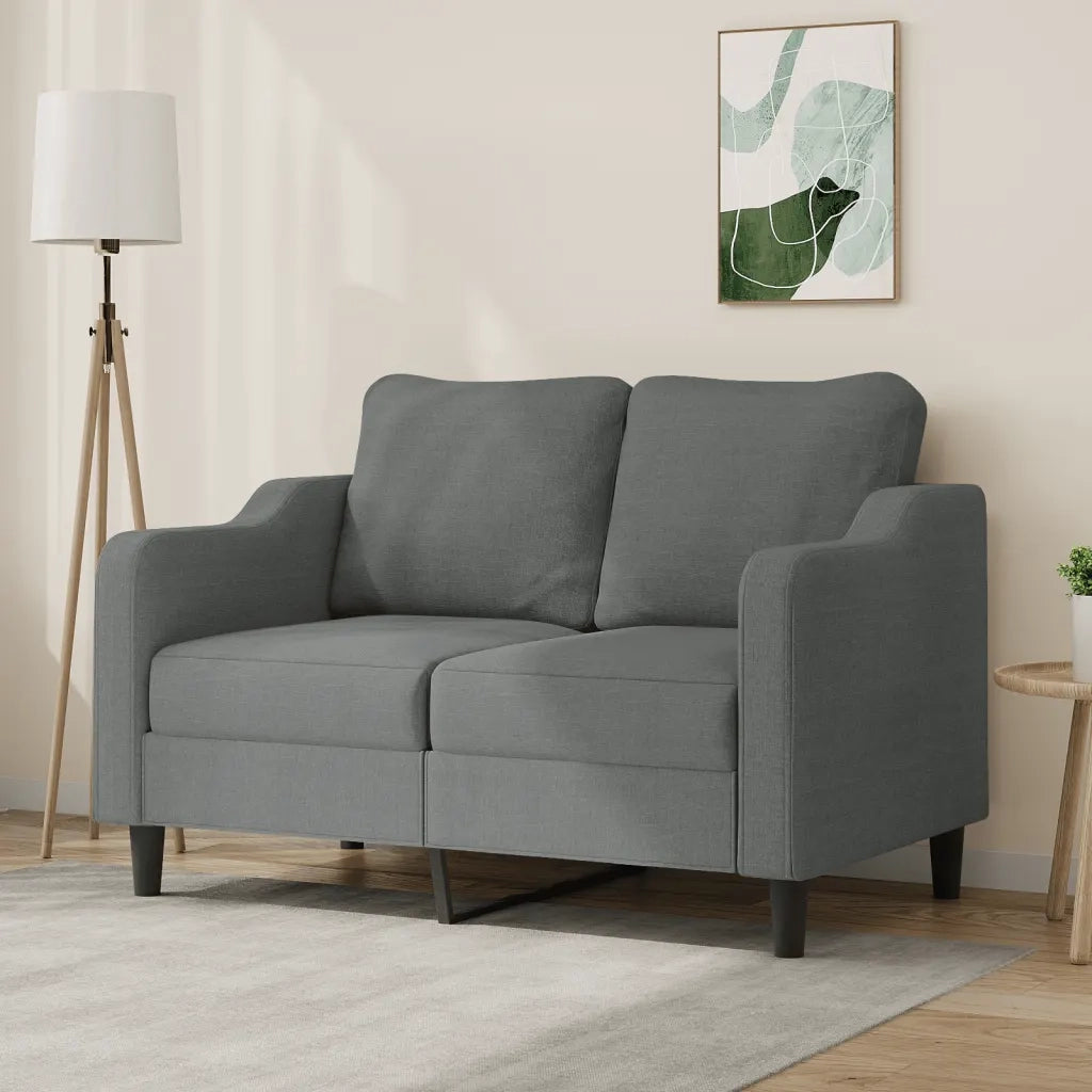 Divano | Divano da soggiorno | Sofa a 2 Posti Grigio Scuro 120 cm in Tessuto