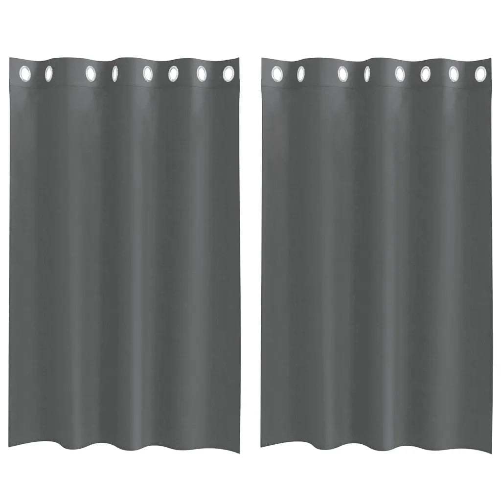vidaXL Tende in Voile con Occhielli 2 pz Grigio Scuro 140x175 cm