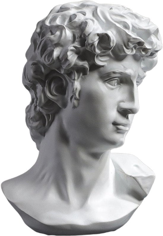 Buste di Michelangelo David, Decorazione per la Sala da Pranzo, Decorazione per la Vetrina della Casa, Ornamenti Moderni, Poliressina, Regalo