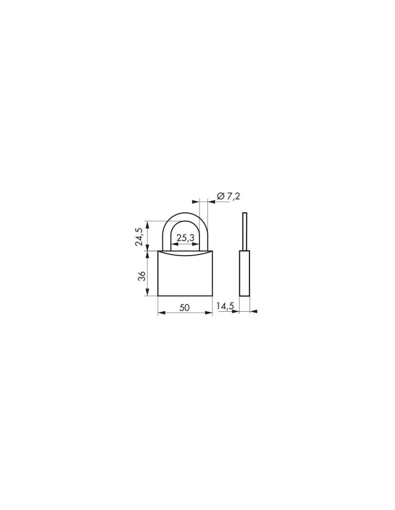 Lucchetto a chiave Tipo 1, ottone, interno, arco in acciaio, 50mm, 3 chiavi - THIRARD