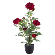 Set di 2 Rose In Velluto Con Vaso H 70 Cm