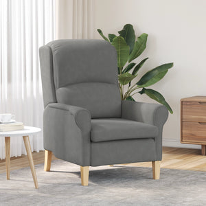 Poltrona Grigia Scura Grigio Scuro Tessuto e Legno Standard