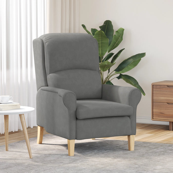 Poltrona Grigia Scura Grigio Scuro Tessuto e Legno Standard