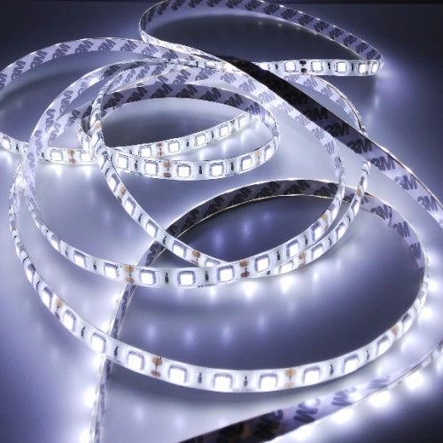 Striscia LED 5m 14,4W/m 6500K 800lm 12V IP20 dimmerabile Ecolight