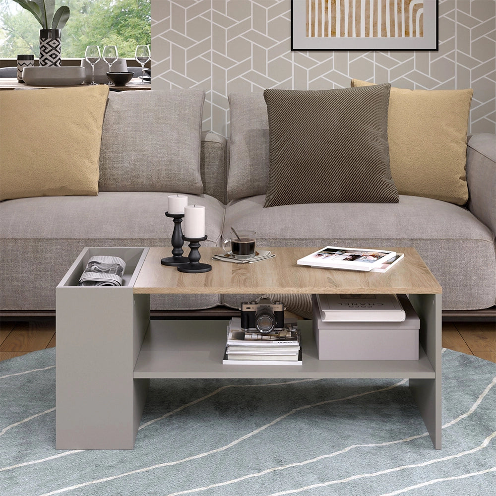 Vicco Tavolino da salotto Grigio 100 x 55 cm con ripiani