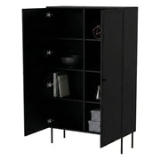 Armadio multiuso 2 ante Sedilo, Mobile multifunzionale, Mobiletto scarpiera, Guardaroba porta scarpe, 100x39 h166 cm, Nero