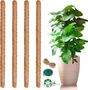 4 pezzi di sostegno per piante a rete di sostegno per piante di camera 64 cm con cuscino di cocco naturale con nodi di torsione etichette di juta corda per giardinaggio per piante in vaso piante di rampicanti crescita