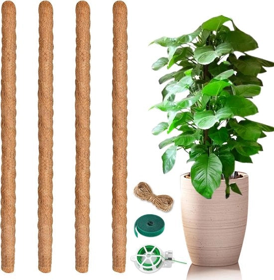 4 pezzi di sostegno per piante a rete di sostegno per piante di camera 64 cm con cuscino di cocco naturale con nodi di torsione etichette di juta corda per giardinaggio per piante in vaso piante di rampicanti crescita