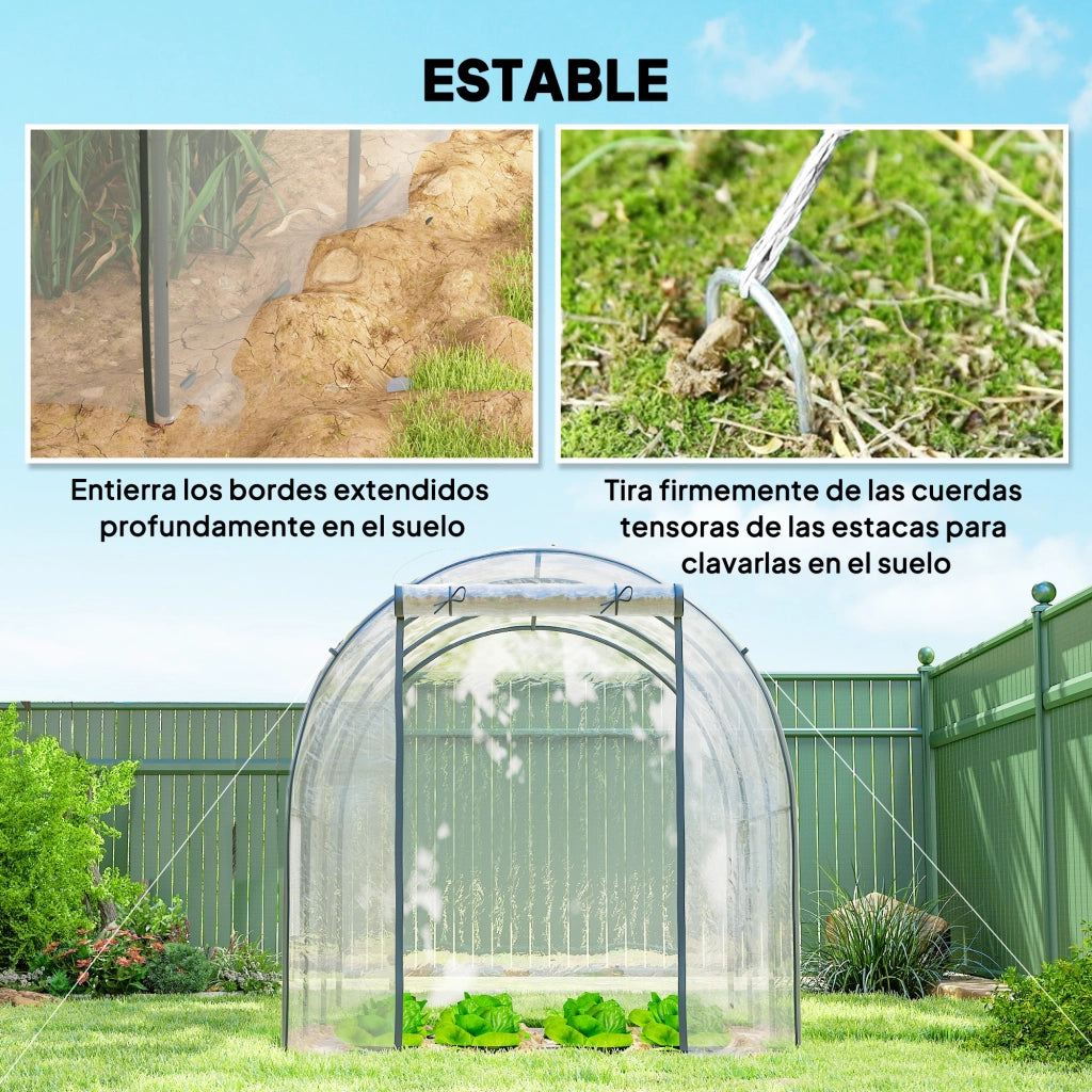 Serra a Tunnel ¨C zephmum ¨C 3x2x2 m Acciaio Trasparente Porta a Rullo 2 Finestre a Rete