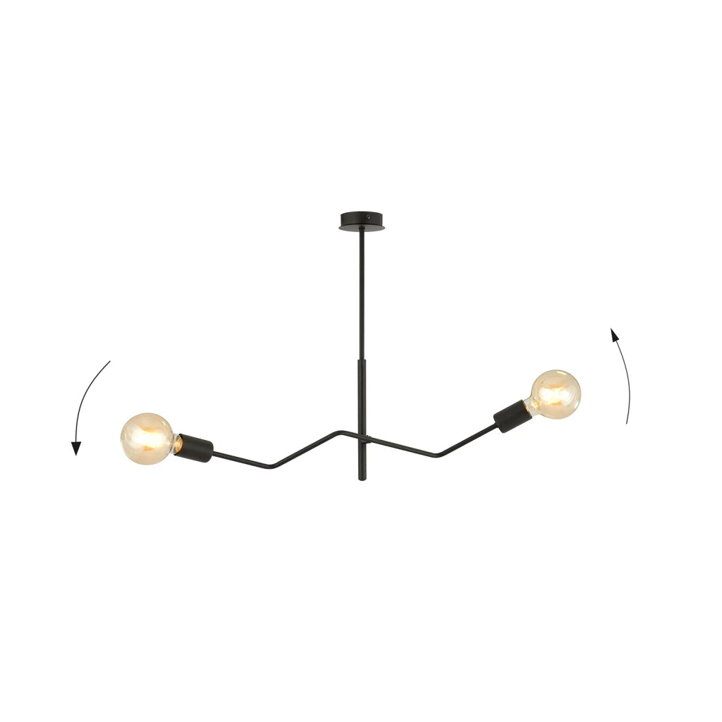 Sospensione Industrial 2 Luci Febe In Acciaio Nero E Bracci Regolabili
