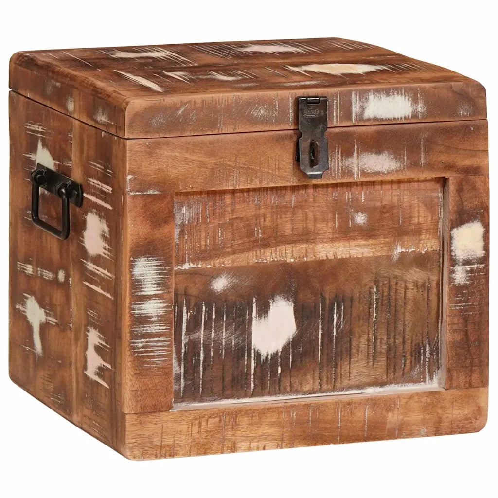 Scatola di Stoccaggio con porta Marrone Legno di mango massello 4104570
