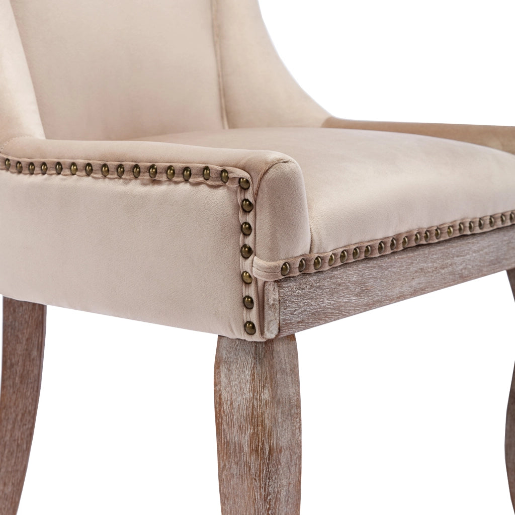 Sedie da Pranzo Imbottite in Velluto ¨C Xylo ¨C Beige, Gambe in Legno Massello, Set 2 Pezzi