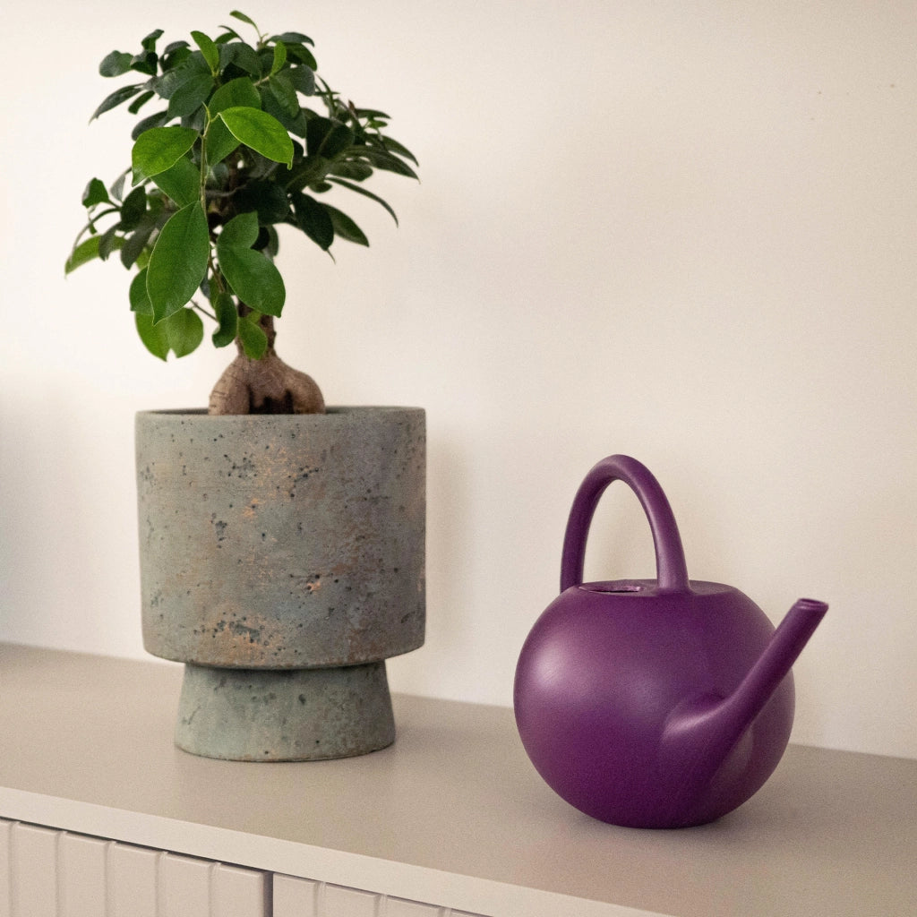 Annaffiatoio KADAX per giardino domestico, ideale per innaffiare fiori e piante, piccolo, in plastica, 1,2 litri.