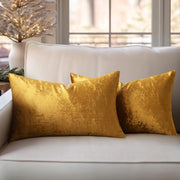 Set di 2 cuscini in velluto, siercuscino, copri cuscino decorativo, cuscino morbido per divano, camera da letto, soggiorno, 30 x 50 cm, oro scuro