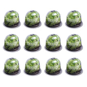 IDMarket - Serra protettiva per piante Salad bell x12