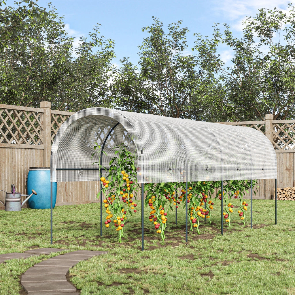 Serra da giardino per pomodori ¨C zephmum ¨C 4x1.2x1.7m 5 archi in acciaio con telo PE