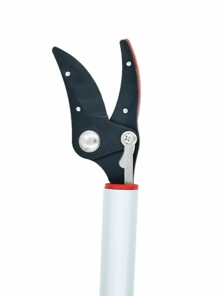 FORBICE POTATURA PER RACCOGLI FRUTTA ASPARAGI ALLUMINIO ACCIAIO CON MANICO 800MM