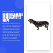 Supporto per la Colonna Vertebrale per Cani - Braccio di Sostegno IVDD - Protezione e Alleviamento del Dolore - Sostegno alla Colonna Vertebrale - Recupero Chirurgico - Prevenzione delle Malattie della Colonna Vertebrale