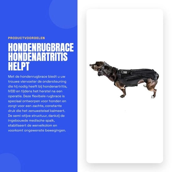 Supporto per la Colonna Vertebrale per Cani - Braccio di Sostegno IVDD - Protezione e Alleviamento del Dolore - Sostegno alla Colonna Vertebrale - Recupero Chirurgico - Prevenzione delle Malattie della Colonna Vertebrale