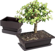 23 x 17 x 8 cm Punti di allenamento con piatto di servizio Vaso profondo per piante in forma rettangolare per giardini, cortili, uffici, salotti