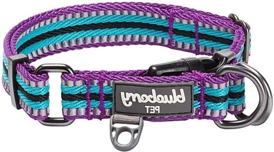 Collare per Cani Grande con Strisce Riflettenti Multicolore Blu Ceruleo Viola Celeste