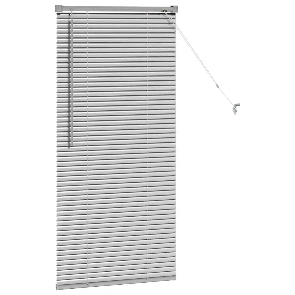 vidaXL Tenda per Finestra con tende Manuale Argento Alluminio