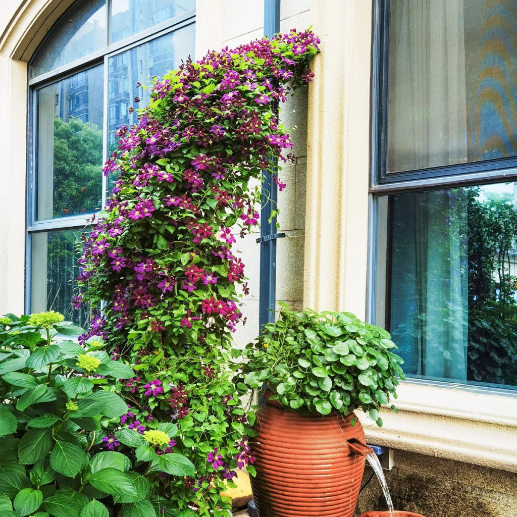 Arco da giardino 251,5cm con traliccio 2 mezzi archi, Traliccio da patio pergola in metallo per decorazioni Nero-Decorazioni da giardino